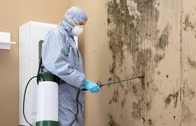 Best Mold Removal for HVAC Installations in Lipscom, AL